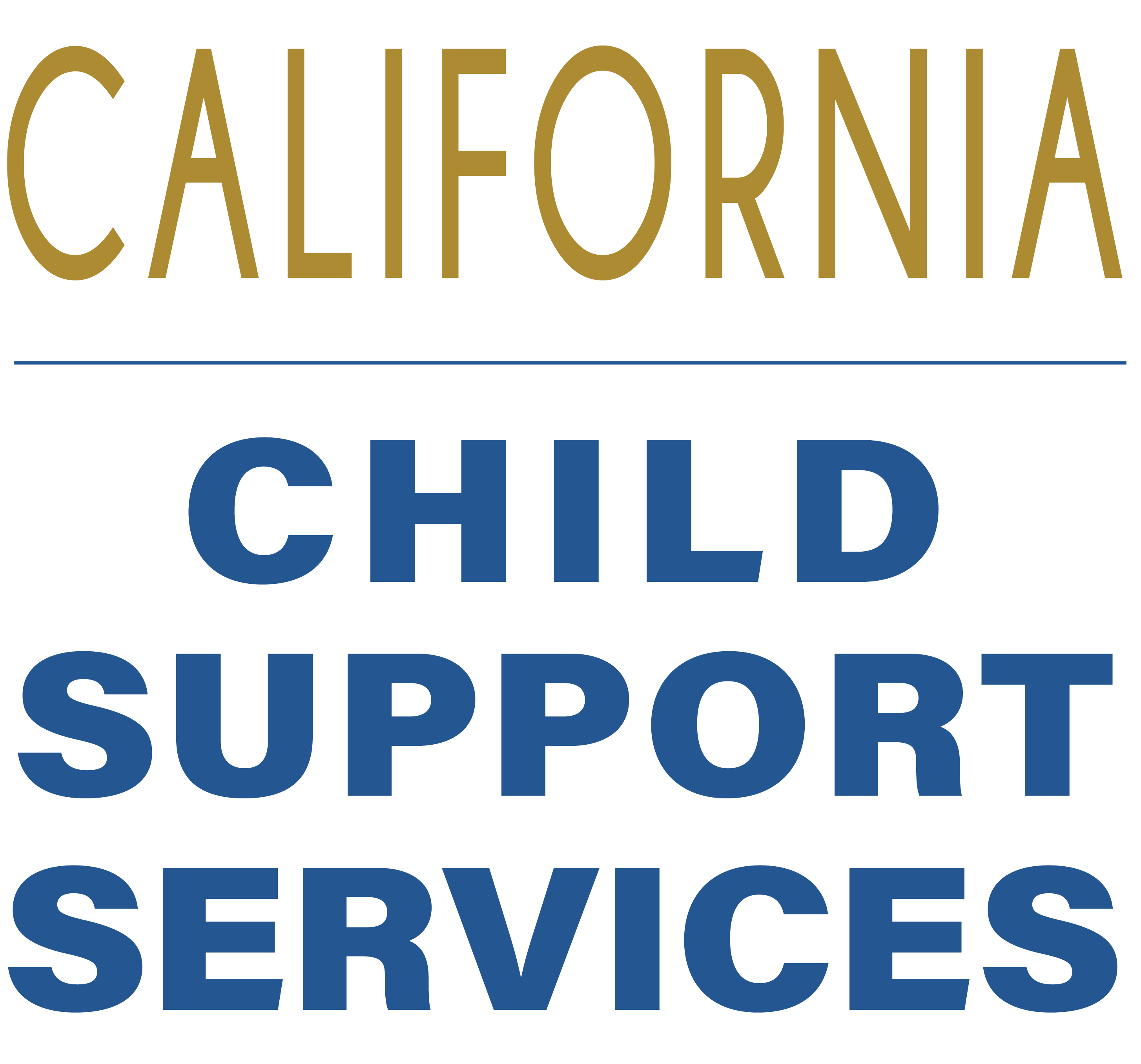 Department of Child Support Services logo
